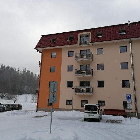 Apartmán 68 Horní Lipová Exterior foto